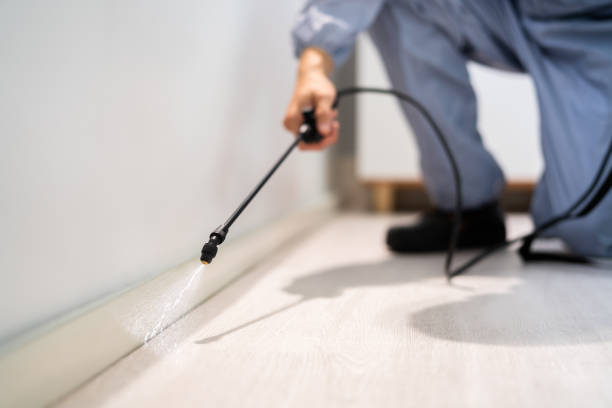 Licensed Pest Control service in Pinole, CA - Show Me Pest Control